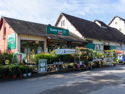 Gamm_Vert_St_Amand
