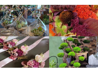 Fleurs_et_Tendances_Cercy